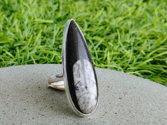 Buy Orthoceras Fossil Ring Sterling Silver Striking Black & White  Orthoceras Fossil Ring Large Stone Ring Black Stone Ring Kuber Ring Online  in India - Etsy