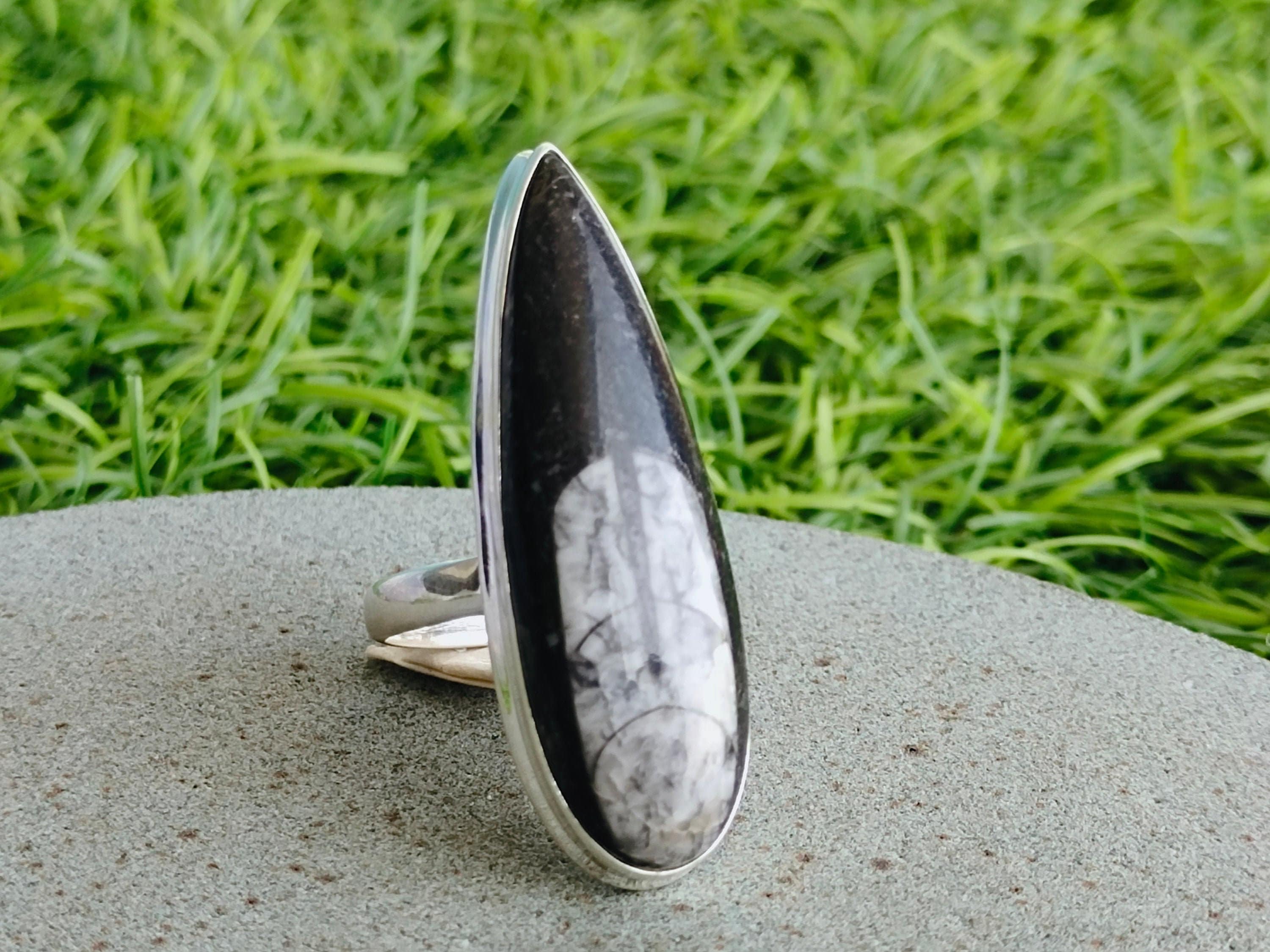 Sterling Silver Orthoceras Fossil Ring: Black & White Stone - Etsy