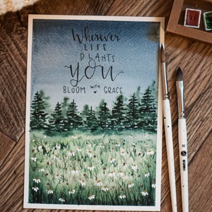 spring meadow