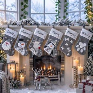 May include: Six grey felt Christmas stockings hanging in a row, each featuring a white cuff embroidered with names: Daddy, Mummy, Aiden, Harry, Murphy, and Woody. The stockings display appliqued characters including Santa, a snowman, a reindeer, and a penguin.