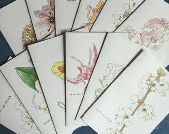 Set of 12 Handmade Botanical Greeting Cards