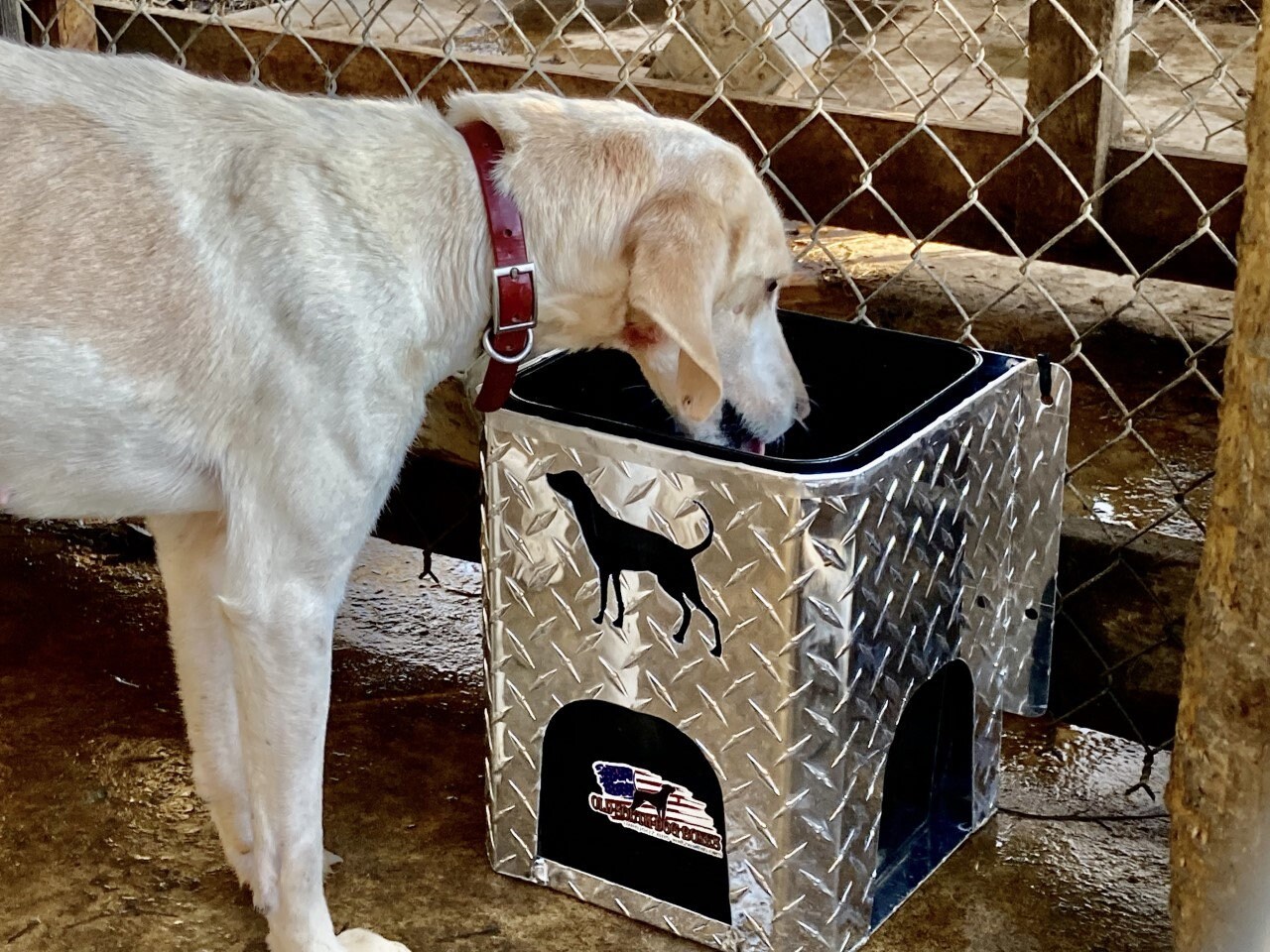 4gallon Bucket Water System Etsy