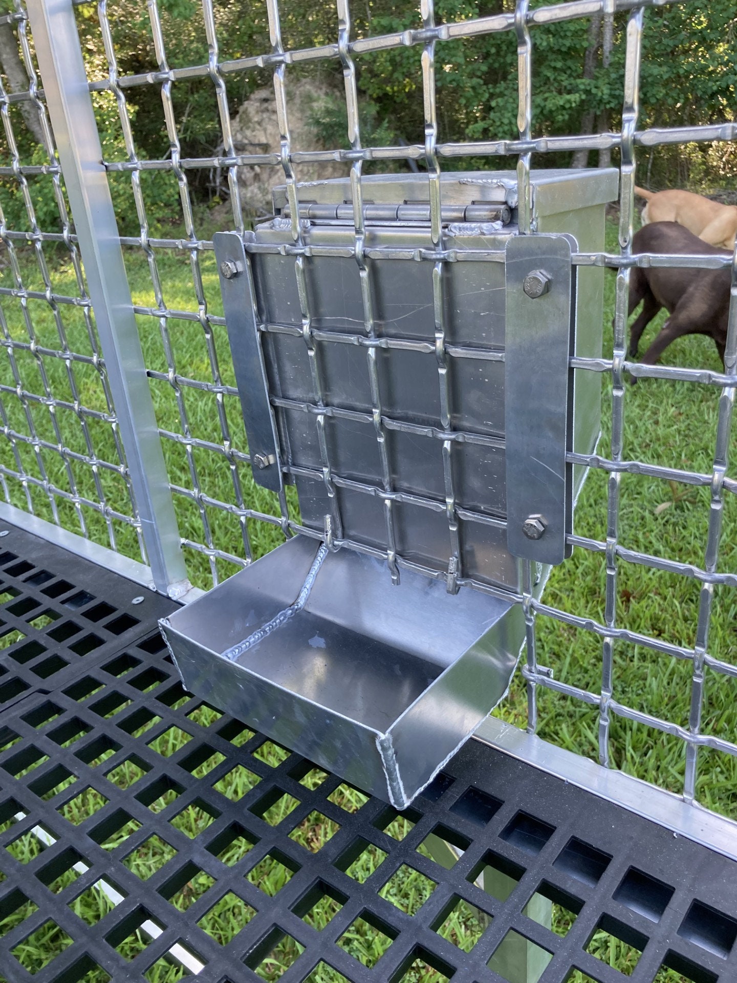 Automatic Dog Feeder Etsy