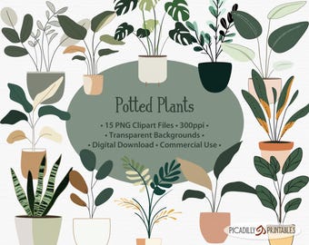Potted Plants Clip Art - 15 PNG Files With Transparent Backgrounds - 300 PPI - Houseplant Clipart Files for Commercial Use
