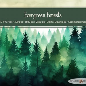 Images d'arrière-plan aquarelles d'arbres à feuilles persistantes - 10 JPG - 300 PPI - rapport de format de 5:4 - forêt à feuilles persistantes - usage commercial