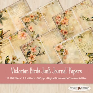 Viktorianische Vögel Junk Journal Digitale Papiere - 12 JPG Bilder 300 PPI - 11 "x 8,5" US Letter Größe - Digital Paper Craft