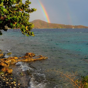 Lovango Rainbow-Print of original photo