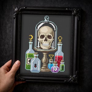 May include: Cross-stitch art in a black frame featuring a skull under a glass cloche, surrounded by potion bottles. The bottles contain green, red, and blue liquids, with a spider and other symbols. The artwork is on a black background.