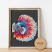 Colored Fish Set Cross Stitch Pattern PDF, Betta Fish Embroidery ...