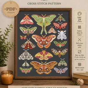 May include: A framed cross stitch pattern titled Moths featuring a collection of various moth species in shades of green, orange, pink, and white on a dark gray background. The design includes 29 DMC colors and measures 27.40 by 33.20 cm.
