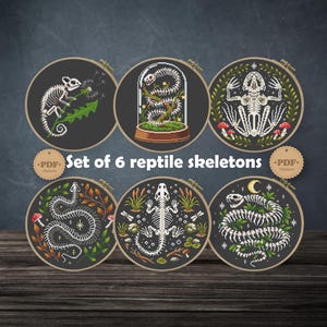 May include: Set of six reptile skeleton cross-stitch patterns in embroidery hoops. Each design features a different reptile skeleton, including a chameleon, snake, and lizard, surrounded by botanical elements. The text "Set of 6 reptile skeletons" is included.