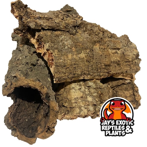 Cork Bark Bulk Flats 1 Lbs. for Plants Aquariums Etsy