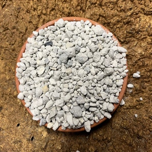 Pumice  3/8&quot; to 1/4&quot; Grade (1 Quart) (Horticultural)
