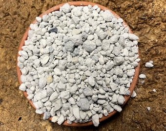 Pumice  3/8" to 1/4" Grade (1 Gallon) (Horticultural)