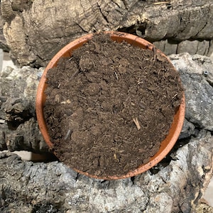 May include: A close-up of a brown terracotta pot filled with dark brown potting soil. The soil is loose and crumbly, with some small pieces of bark mixed in.