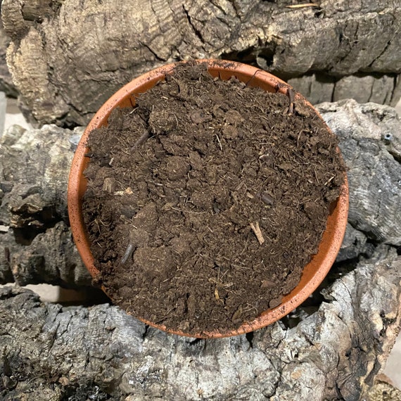 Sphagnum Peat Moss (organic) 1 Gallon - Etsy