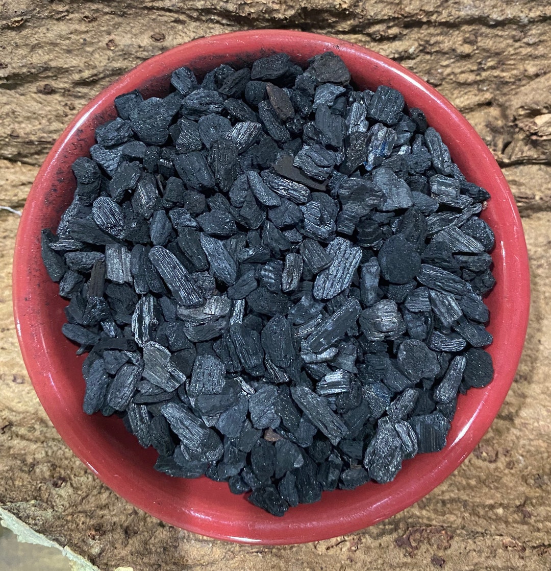 Horticulture Charcoal 1 Gallon. Medium Grade. Etsy