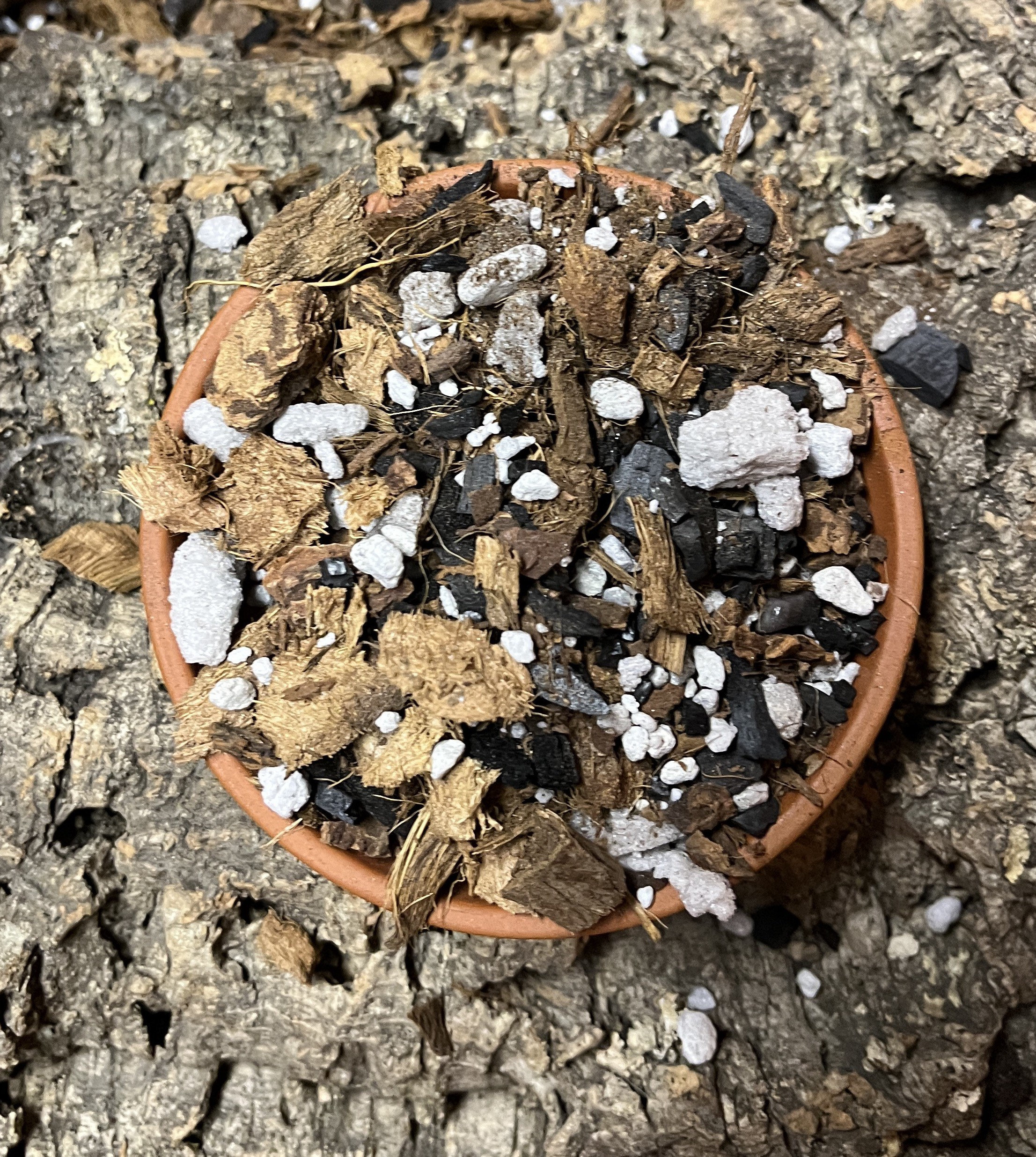 Aroid Soil Mix (Coco Loco) 1 gallon.