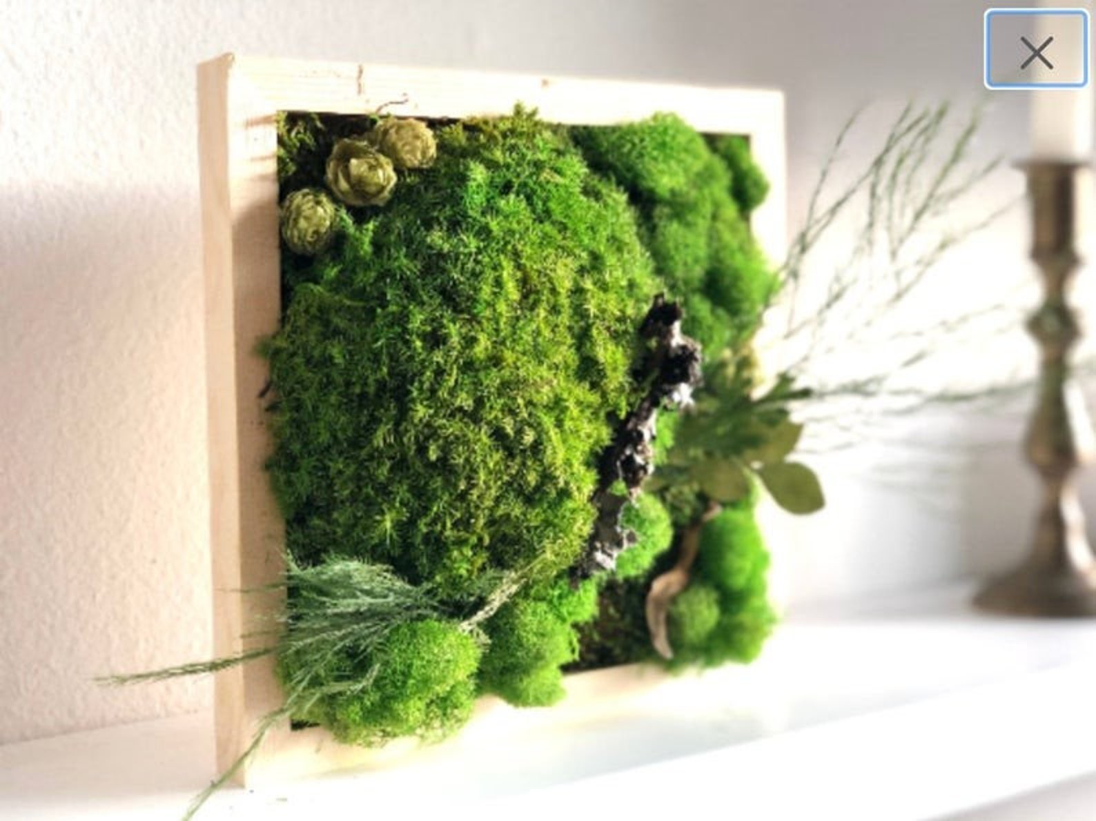 DIY Moss Wall Art Kit Moss Art Frame Perfect Gift Gift Box | Etsy