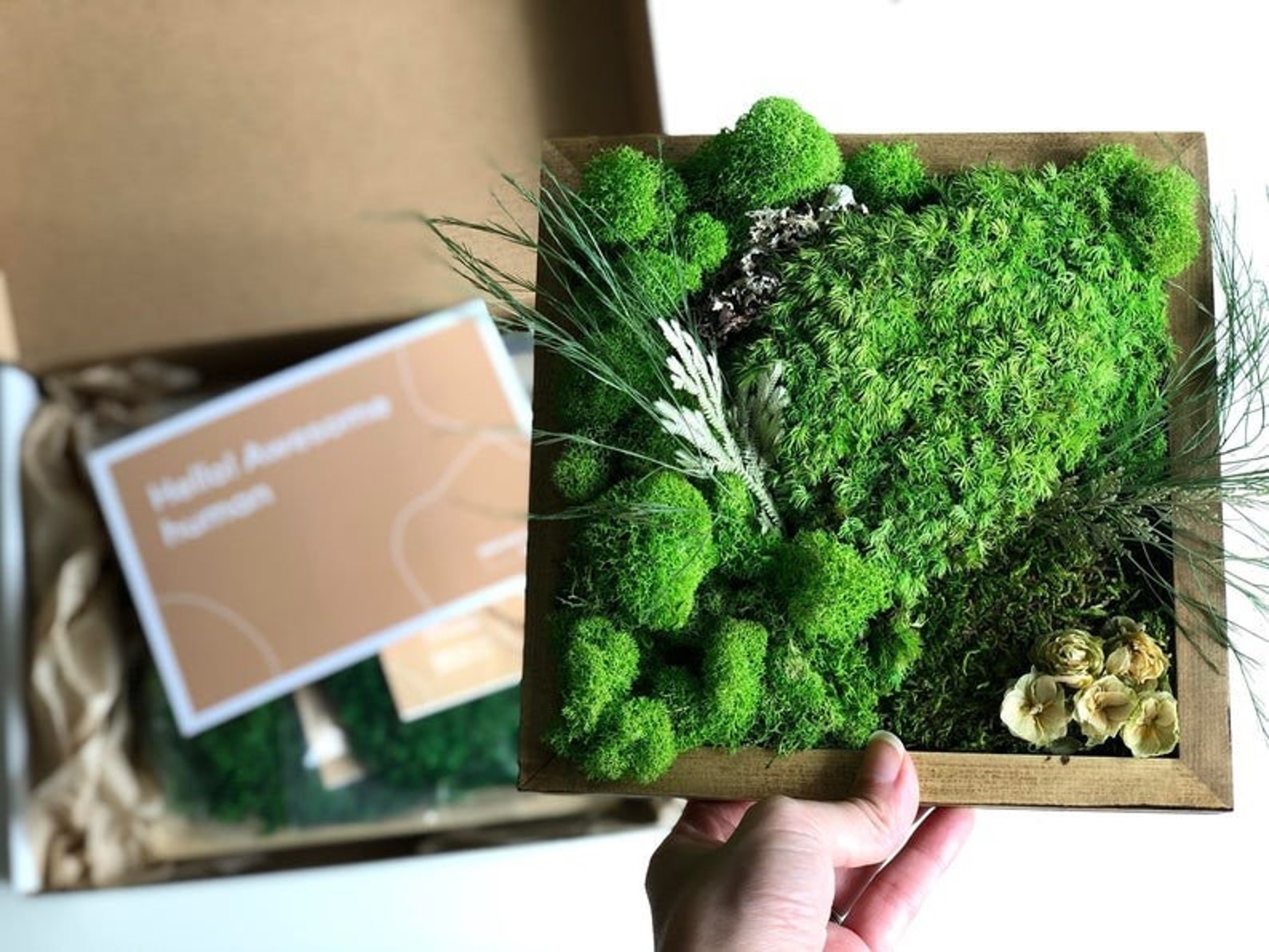 DIY Moss Wall Art Kit Moss Art Frame Perfect Gift Gift Box Etsy