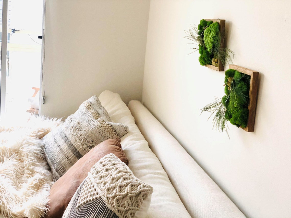 DIY Moss Wall Art Kit Moss Art Frame Perfect Gift Gift Box | Etsy