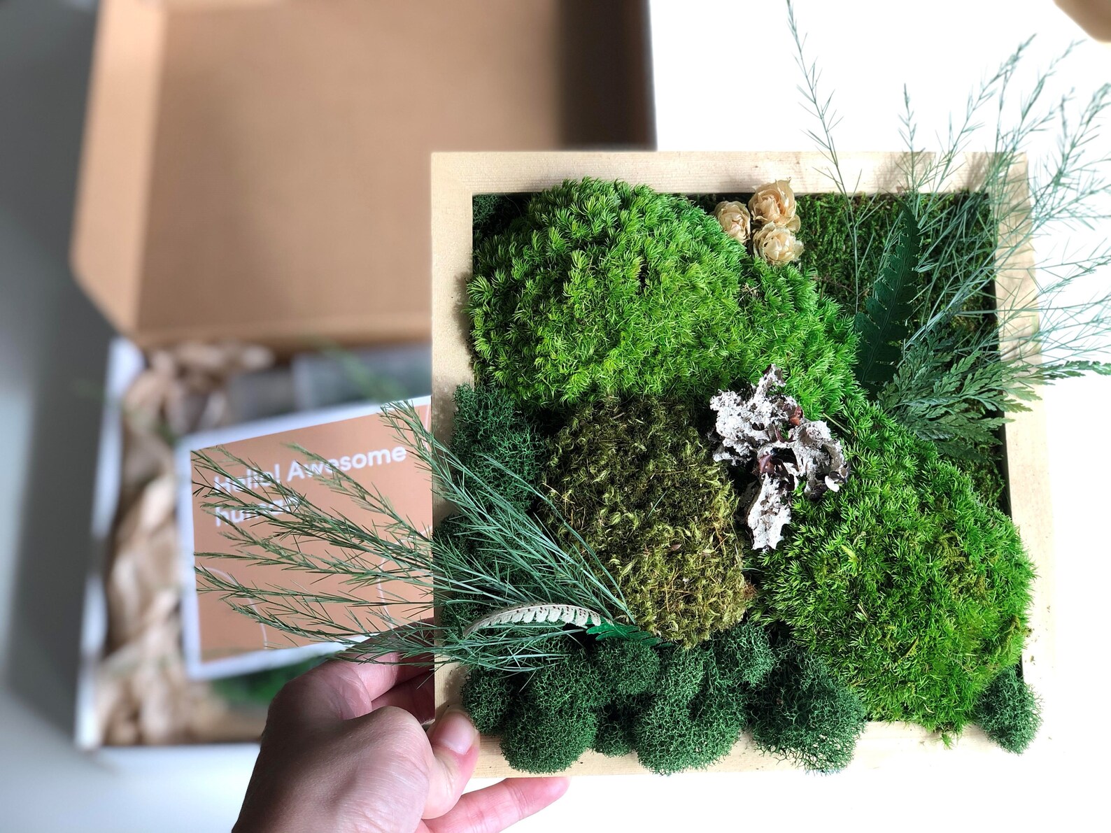 DIY Moss Wall Art Kit Moss Art Frame Perfect Gift Gift Box | Etsy