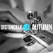 DistinctlyAutumn