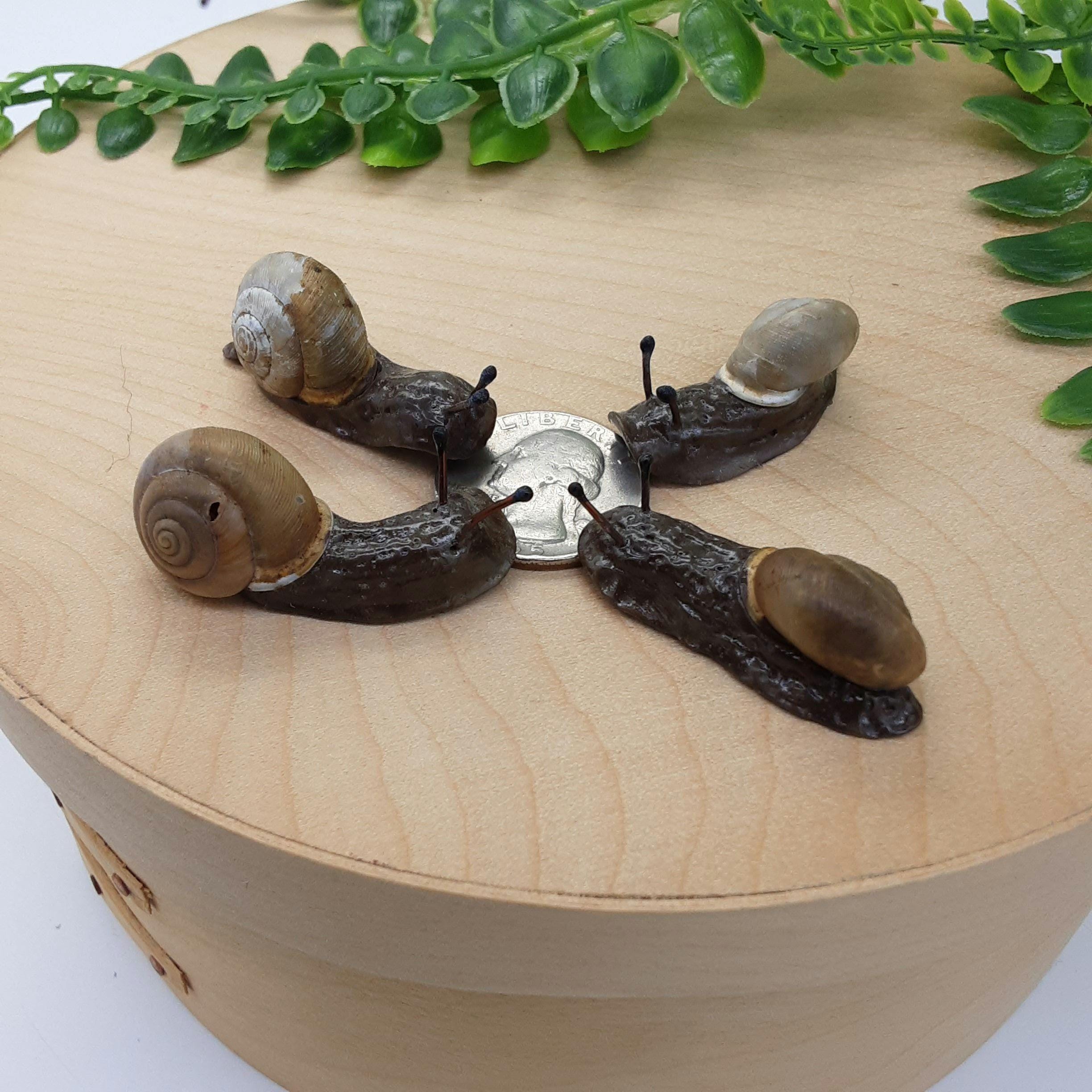 Snail Magnets Realistic Hand Sculpted Snail Magnets - Etsy