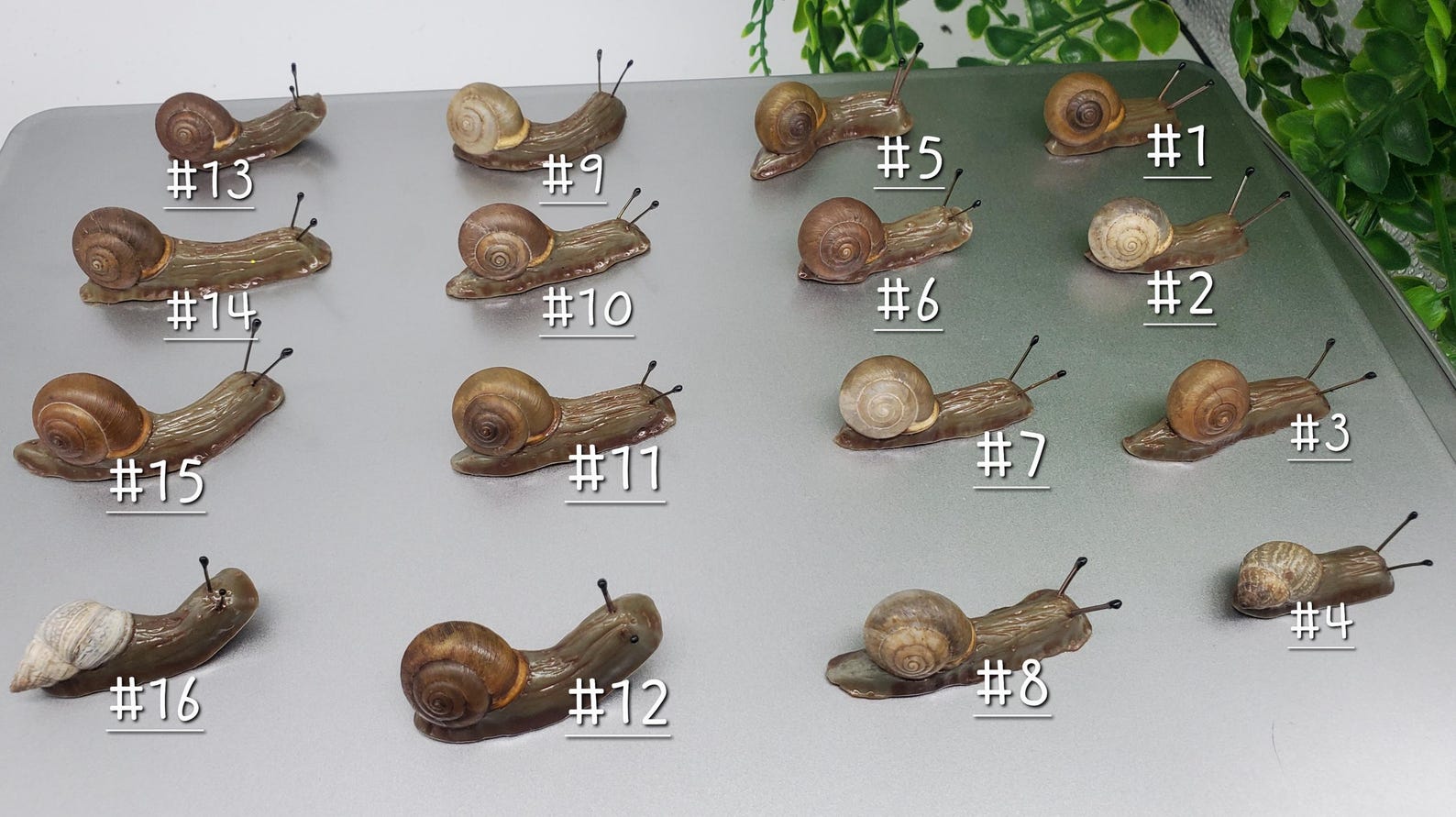 Snail Magnets Realistic Hand Sculpted Snail Magnets - Etsy