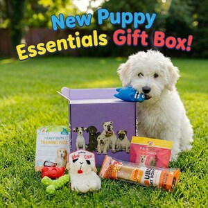 Gift World New Puppy Essentials Gift Box | Dog Starter Kit with Toys, Treats, Training Pads | New Puppy Gift | Dog Adoption Gift Set