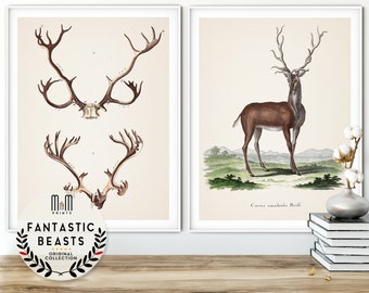 Stag print Deer antlers Elk poster Woodland nursery wall art Set of 2 prints Antique animal print Adventure Forest kids room decor Hunting