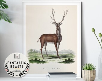 Stag print Elk poster Nursery wall art Adventure Woodland nursery decor Antique illustration Forest animal poster Kids room decor Hunting