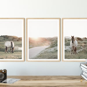 Horse wall art White horse print Landscape wall art set of 3 prints Nature photography Mindfulness Scandinavian style print Gallery Quality