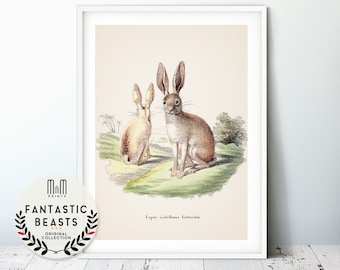 Rabbit print Nursery wall art Adventure Woodland nursery decor Rabbit poster Antique illustration Kids room decor Bunny Gallery Quality