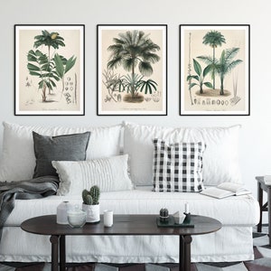 Palm tree print Beach house decor Nursery wall art Nursery art Antique botanical art illustration poster Palm leaf print Coastal wall art image 4