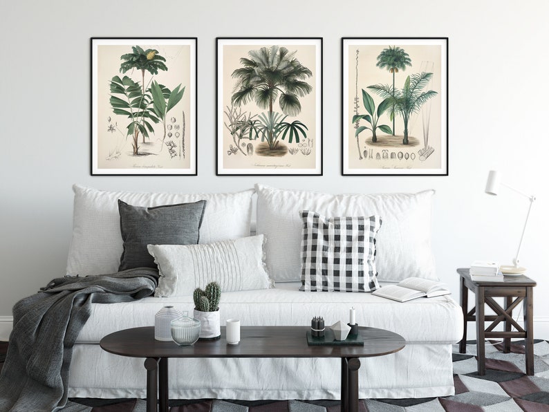 Palm tree print Beach house decor Nursery wall art Nursery art Antique botanical art illustration poster Palm leaf print Coastal wall art image 4