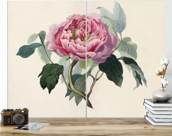 Peony Print Botanical Print Set of 2 Prints Wall Art Set | Etsy