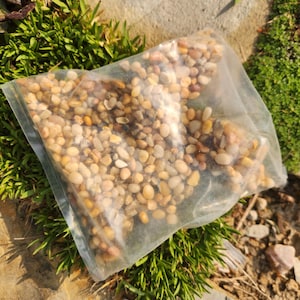 May include: A clear plastic bag filled with small, smooth, tan and beige decorative pebbles. The bag is resting on a bed of green grass and a stone surface. The pebbles appear to be for landscaping or decorative purposes.