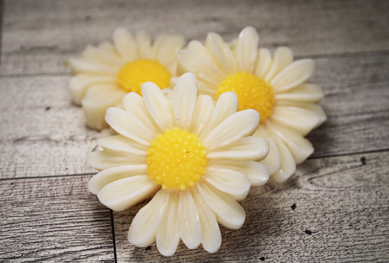 Personalized Daisy Soy Wax Sachet: Floral Wedding Favor Gift - Etsy