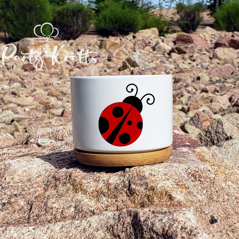 Ladybug Planter - Etsy