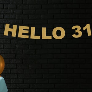Hello 31 Birthday Banner, 31st Birthday Party Decor, Happy 31st Birthday
