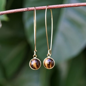 Tiger's Eye Earrings