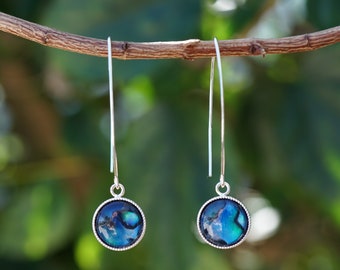 Blue Paua Shell Dangle Earrings