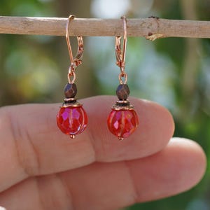 May include: A pair of leverback earrings. Each earring features a faceted red glass bead, a dark brown bead, and copper-colored metal accents. The earrings are displayed against a blurred green background.