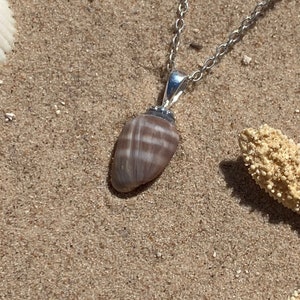 Coffee Bean Seashell Pendant Necklace