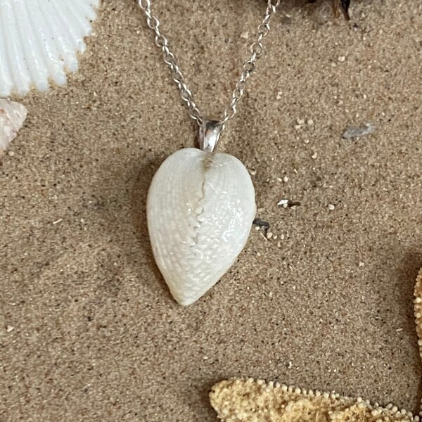 Shell Heart Necklace Etsy
