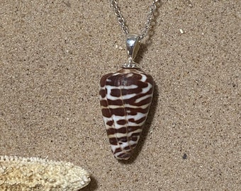 Unusual Ivory Cone Seashell Necklace in Argentium Silver, 14K White Gold, or 14K Yellow Gold