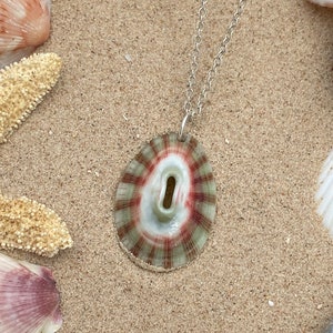 Rosy Keyhole Limpet Seashell Pendant Necklace