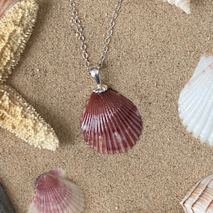 Scallop Seashell Pendant Necklace