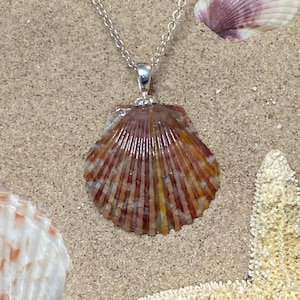 Rusty Orange Scallop Seashell Pendant Necklace: Argentium Silver